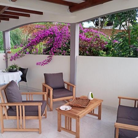Paradis Cache - Confort Terrasse - Kybo Karaib Location - Pkg - Mtgne Сент-Марі Екстер'єр фото