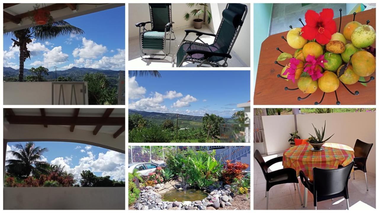 Paradis Cache - Confort Terrasse - Kybo Karaib Location - Pkg - Mtgne Сент-Марі Екстер'єр фото